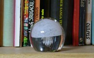 meduzo en vitra globo